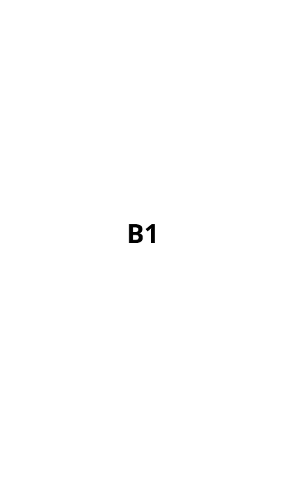 B1