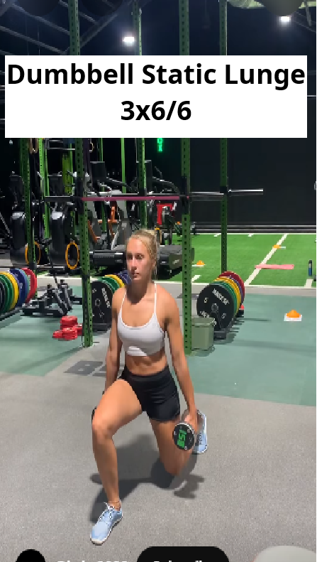 Dumbbell Static Lunge