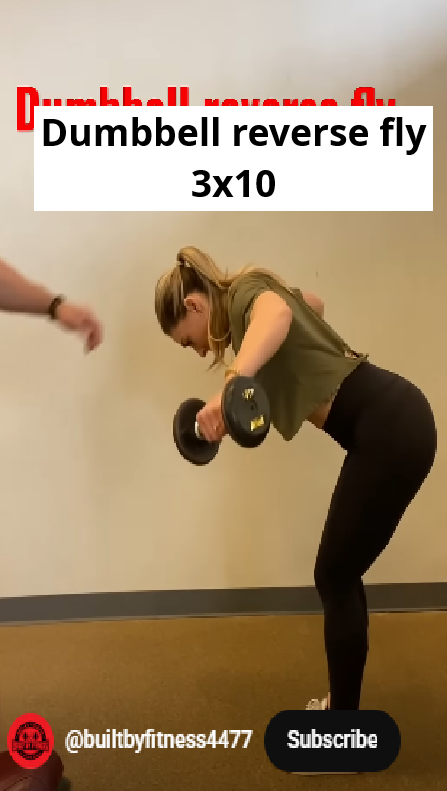 Dumbbell reverse fly