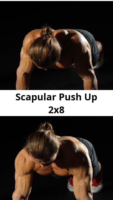 Scapular Push Up